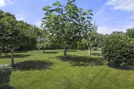 Photo of property in 21 Tasman Street, Havelock North, 4130