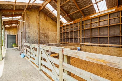 Photo of property in 321 Muriwai Valley Road, Muriwai, Waimauku, 0881