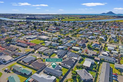 Photo of property in 16 Banksia Lane, Whakatane, 3120