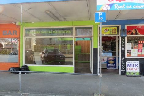 Photo of property in 3 Featherston Street, Levin, 5510