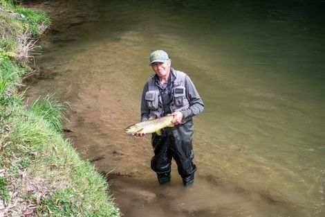 Photo of property in 1021 Paradise Valley Road, Ngongotaha Valley, Rotorua, 3072