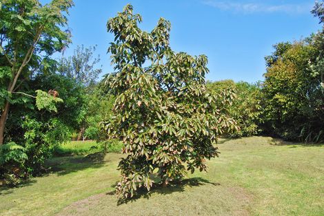 Photo of property in 8 Kapowai Lane, Kaiwaka, 0573