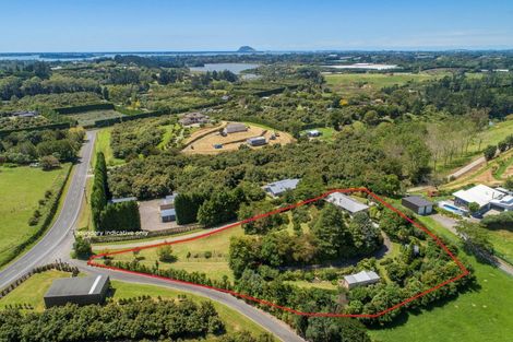 Photo of property in 29 Whakamarama Road, Whakamarama, Tauranga, 3179
