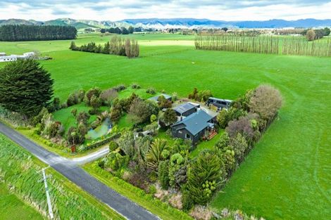 Photo of property in 111 Bowman Road, Woodville, 4999
