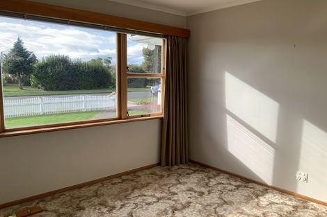 Photo of property in 53 Graham Street, Levin, 5510