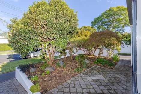 Photo of property in 8b George Street, Claudelands, Hamilton, 3214