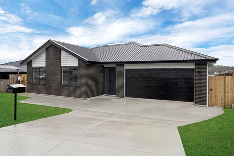 Photo of property in 161 Hitchen Road, Pokeno, 2402