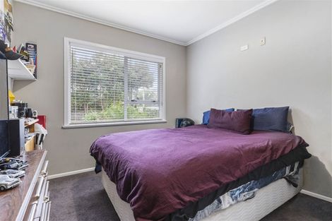 Photo of property in 29 Prospect Terrace, Pukekohe, 2120