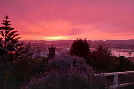 Photo of property in 21 Dunedin Terrace, Melrose, Wellington, 6023