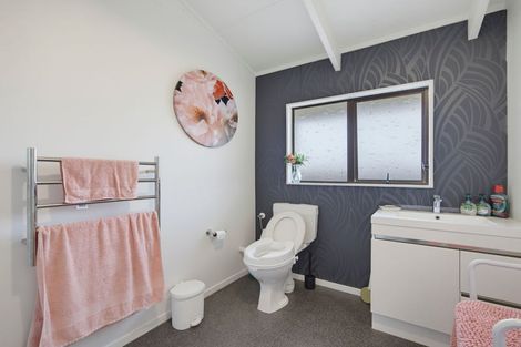 Photo of property in 133 Tiro Tiro Road, Levin, 5510