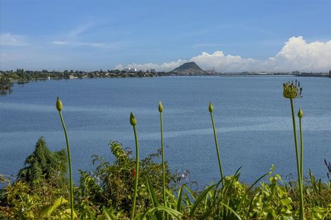 Photo of property in 43 Vine Avenue, Maungatapu, Tauranga, 3112