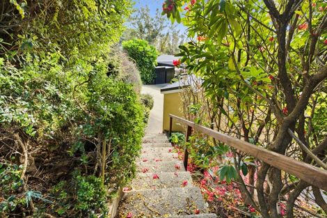 Photo of property in 52 Irvine Road, The Cove, Dunedin, 9077