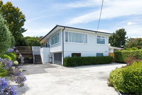 Photo of property in 25 Macarthur Street, Levin, 5510