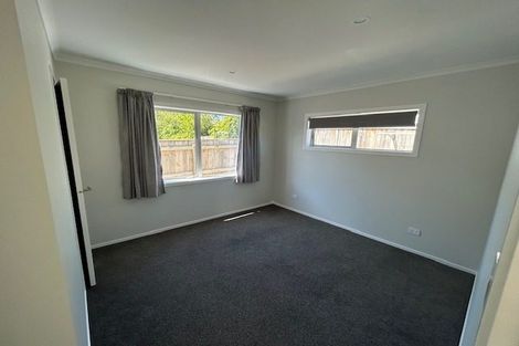 Photo of property in 88a Racecourse Road, Waipukurau, 4200
