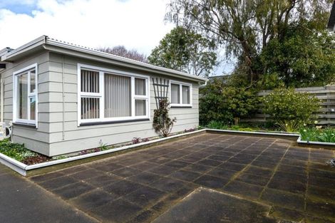 Photo of property in 23 Lancaster Street, Geraldine, 7930