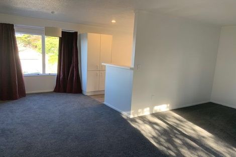 Photo of property in 3/73 Washington Avenue, Brooklyn, Wellington, 6021