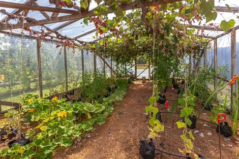 Photo of property in 7 Boat Harbour Road, Whenuakite, Whitianga, 3591