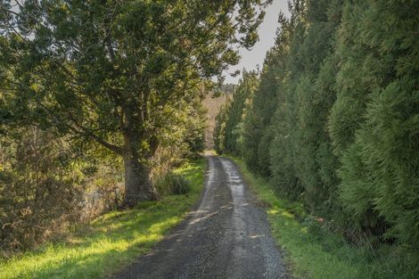 Photo of property in 1878 The 309 Road, Kaimarama, Whitianga, 3591