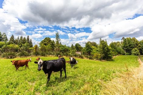Photo of property in 228 Palmer Mill Road, Wairakei, Taupo, 3384