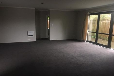 Photo of property in 19d Fifth Avenue, Enderley, Hamilton, 3214