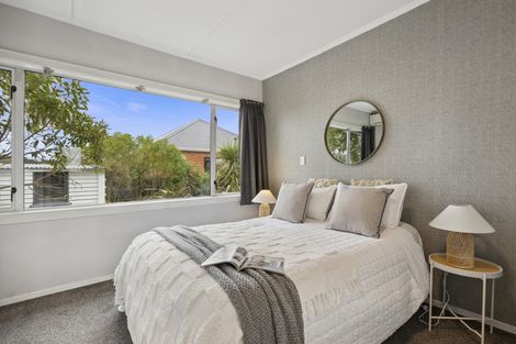 Photo of property in 15 Puketai Street, Andersons Bay, Dunedin, 9013