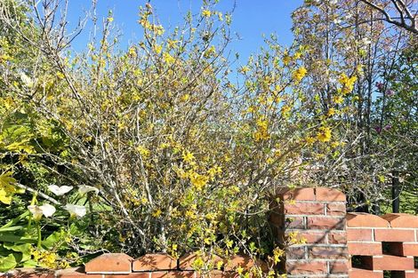 Photo of property in 20 Scotland Street, Picton, 7220