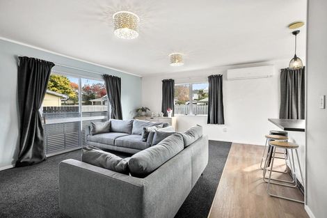 Photo of property in 12a Matai Street, Maeroa, Hamilton, 3200