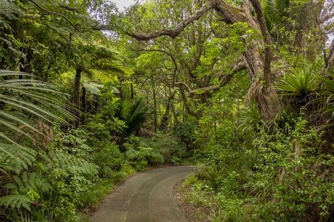 Photo of property in 123 Pumpkin Hill Road, Pumpkin Hill, Whitianga, 3591