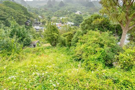 Photo of property in 4 Harbour Terrace, Careys Bay, Port Chalmers, 9023