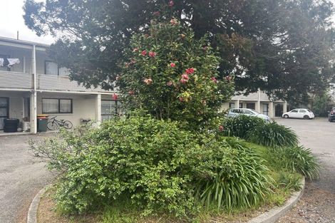 Photo of property in 9 Trent Place, Fenton Park, Rotorua, 3010