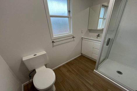 Photo of property in 569 Church Street, Terrace End, Palmerston North, 4410