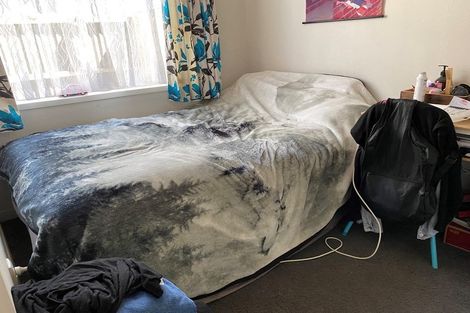 Photo of property in 55 Olliviers Road, Phillipstown, Christchurch, 8011