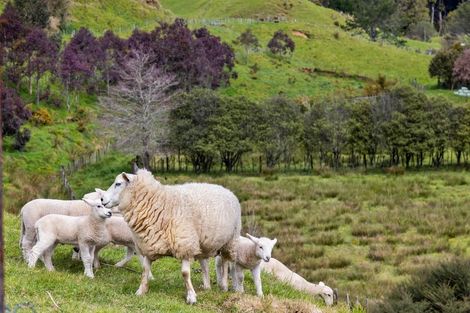 Photo of property in 4a Junction Street, Welbourn, New Plymouth, 4310