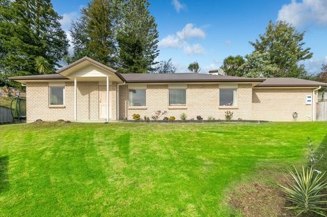 Photo of property in 9 Totara Terrace, Huntly, 3700