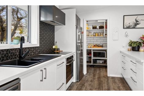 Photo of property in 117 Tarbert Street, Alexandra, 9320