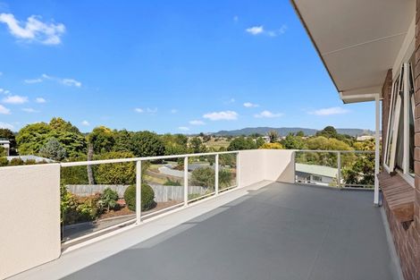Photo of property in 14 Landscape Road, Te Puke, 3119