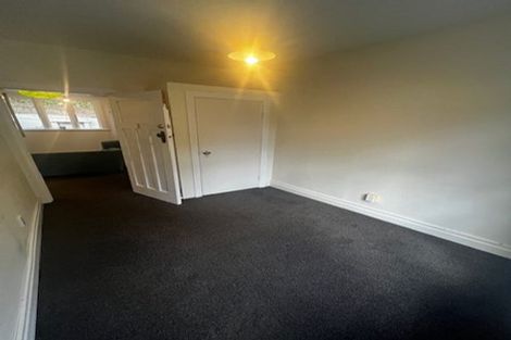 Photo of property in 217 Aro Street, Aro Valley, Wellington, 6021