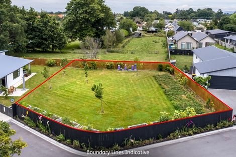 Photo of property in 22 Whatman Avenue, Masterton, 5810