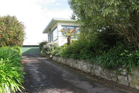 Photo of property in 47 Carey Street, Maeroa, Hamilton, 3200