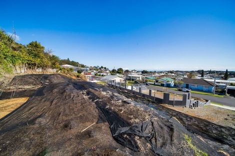 Photo of property in 77 Fulford Street, New Plymouth, 4310