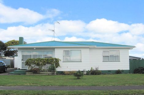 Photo of property in 57 Strathmore Avenue, Levin, 5510