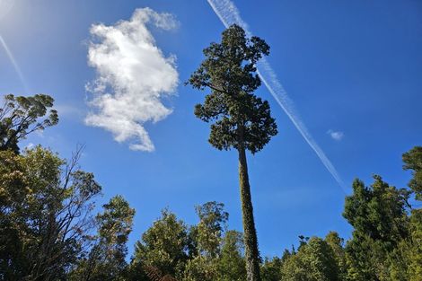 Photo of property in 215 Clifton Road, Kaiata, Greymouth, 7805