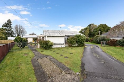 Photo of property in 31 Hobson Street, Maeroa, Hamilton, 3200