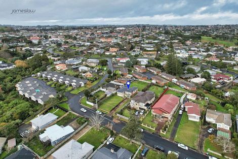 Photo of property in 50 Webster Avenue, Mount Roskill, Auckland, 1041
