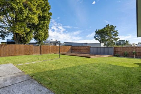 Photo of property in 135 Brecon Road, Stratford, 4332