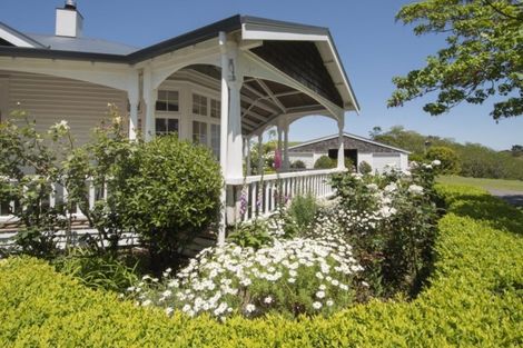 Photo of property in 41 Black Barn Lane, Bethlehem, Tauranga, 3110