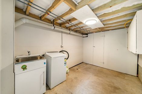 Photo of property in 42 Drummond Street, Mount Cook, Wellington, 6021