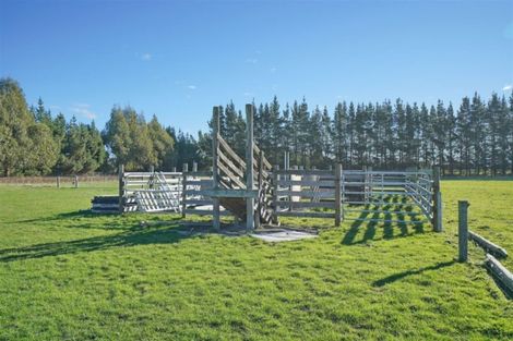 Photo of property in 237 School Road, West Eyreton, Rangiora, 7475