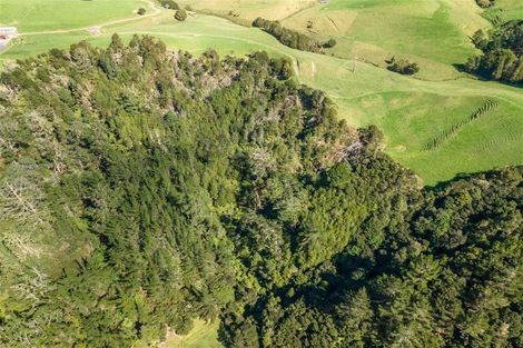 Photo of property in 67 Fraser Road, Kawakawa, 0210