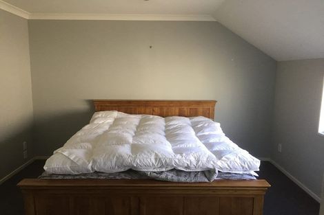 Photo of property in 438e Tristram Street, Whitiora, Hamilton, 3200